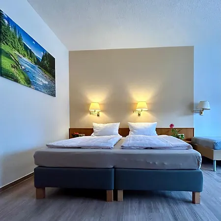 Zum Ritter Maison d'hôtes Katzhutte