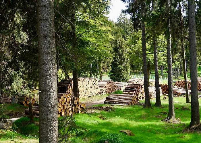 Zum Ritter Konukevi 3*