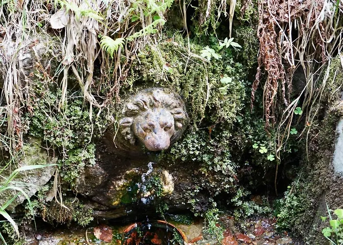 Konukevi Zum Ritter Katzhutte