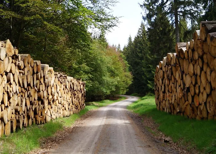 Zum Ritter Katzhutte